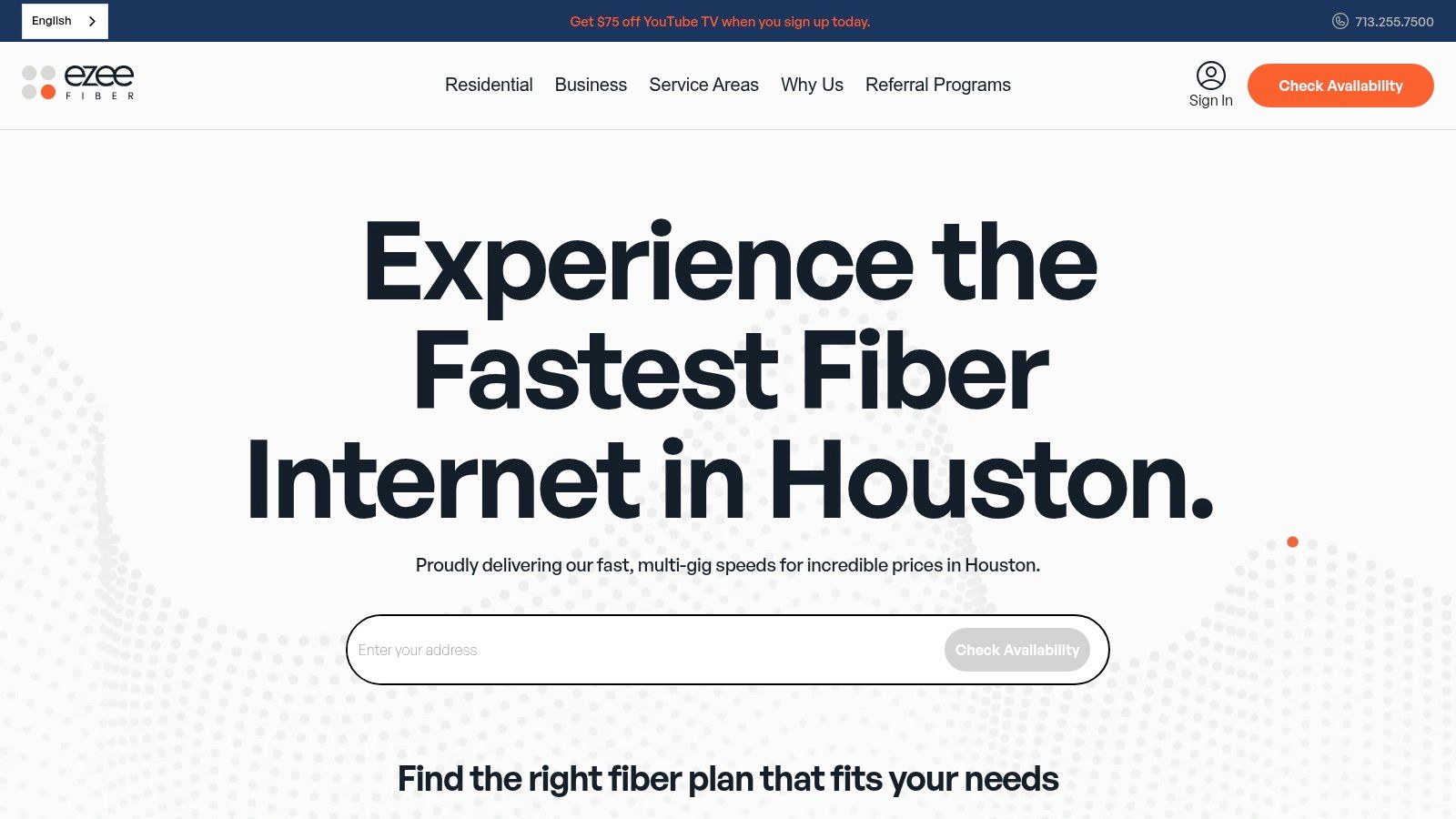 Ezee Fiber