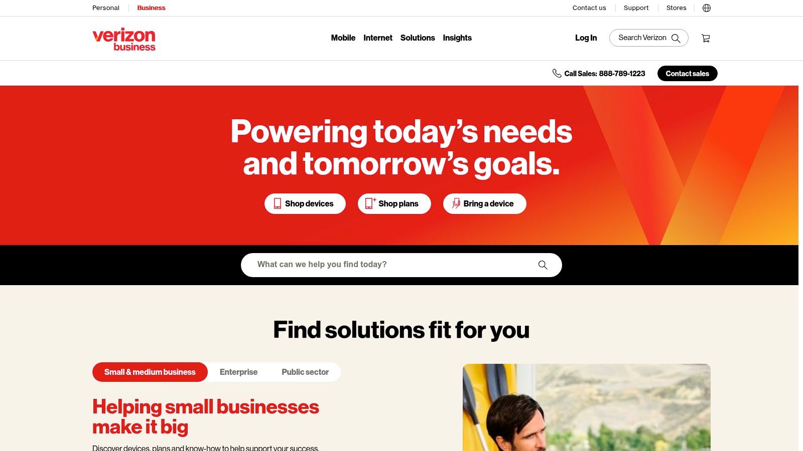 Verizon Business